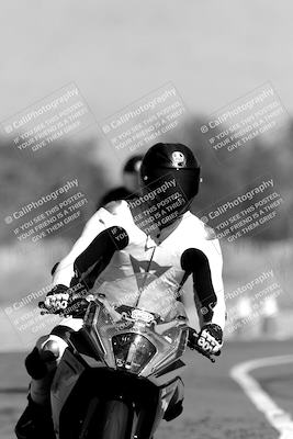 media/Nov-06-2023-Moto Forza (Mon) [[ce023d0744]]/4-Beginner Group/Session 3 (Track Exit)/